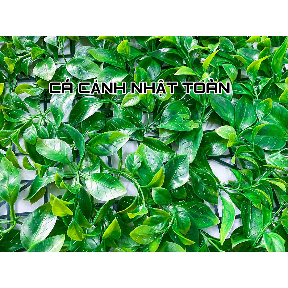 THẢM CỎ TRÀ NHÂN TẠO TRANG TRÍ BỂ CÁ, TIỂU CẢNH 60X40CM