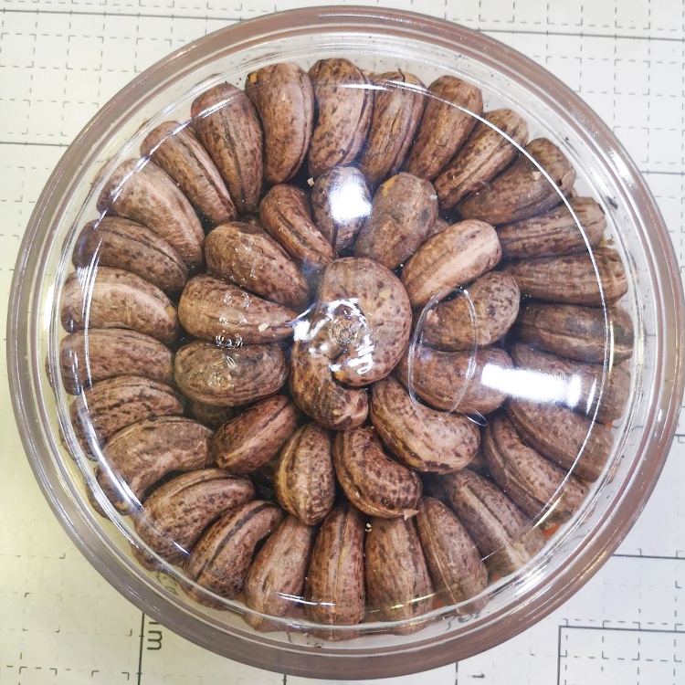 Hạt Điều Rang Muối Vỏ Lụa Nguyên Hạt (Loại A - Size Cồ) 500gr