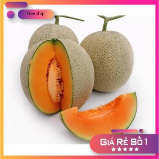 Hạt giống Dưa lưới F1 (Ruột cam, Siêu ngọt)