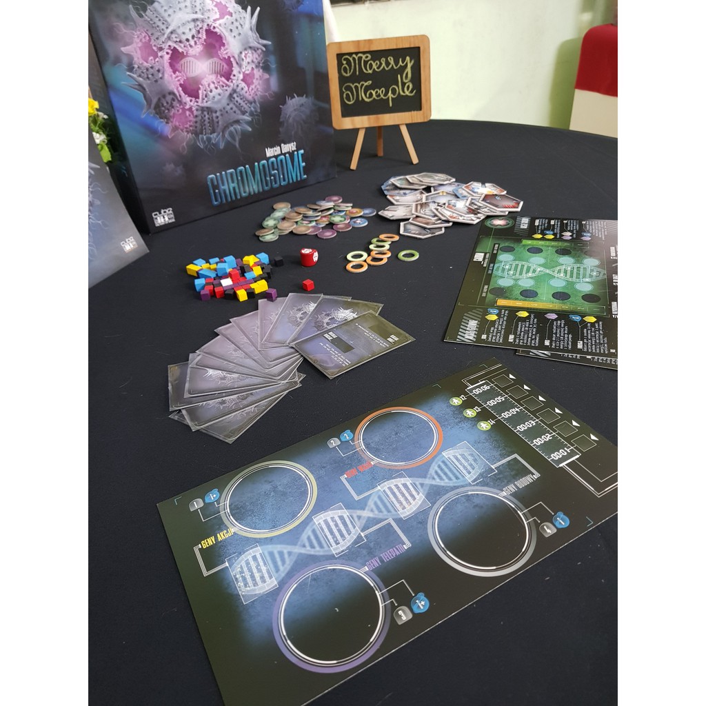 [US] - Chromosome - Trò Chơi Board Game