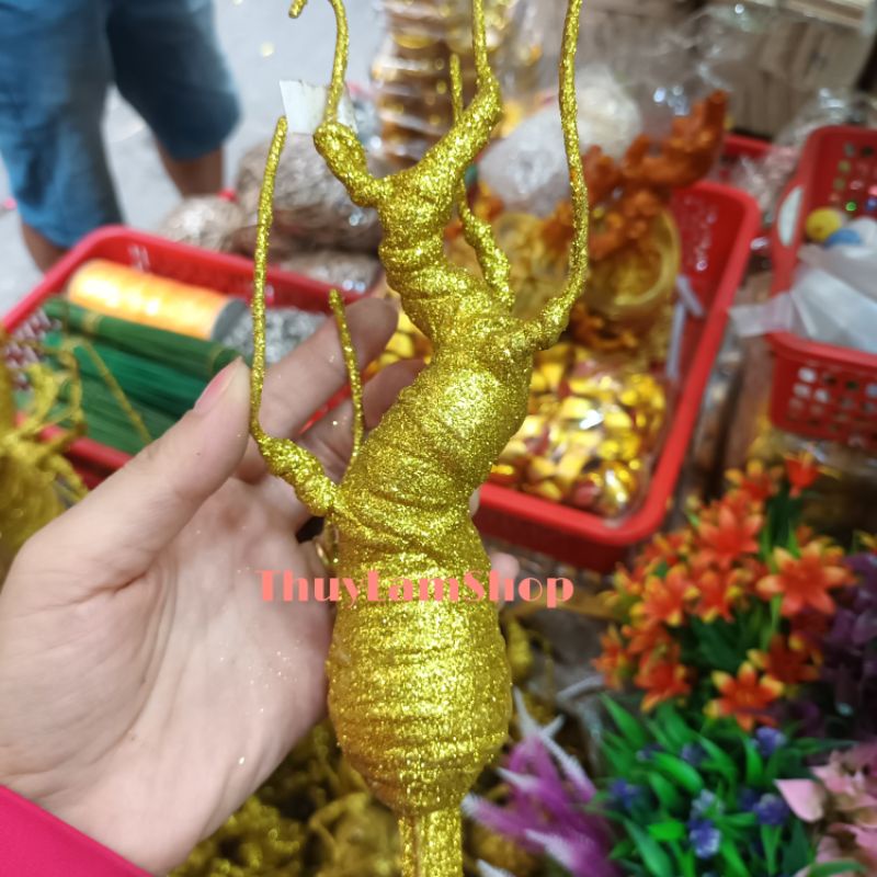 Gốc cây bon sai làm cây cành vàng lá ngọc có nhiều kích thước