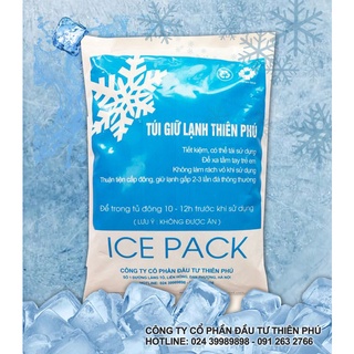 Đá khô, đá gel bảo quản lạnh 500g
