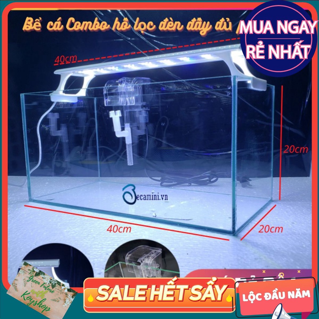 Bể cá mini 40x20x20 đầy đủ phụ kiện, dán giấu keo, mài cạnh tỉ mĩ. Giao hàng toàn quốc.