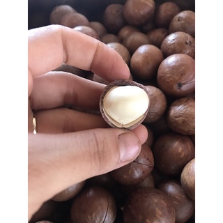 500g Hạt mắc ca Đăk Lăk nhà trồng