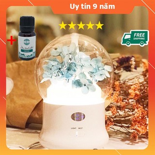 Máy Xông Tinh Dầu, may khuech tan phun sương tạo độ ẩm Tú Cầu 200ml với 7 màu đèn led.