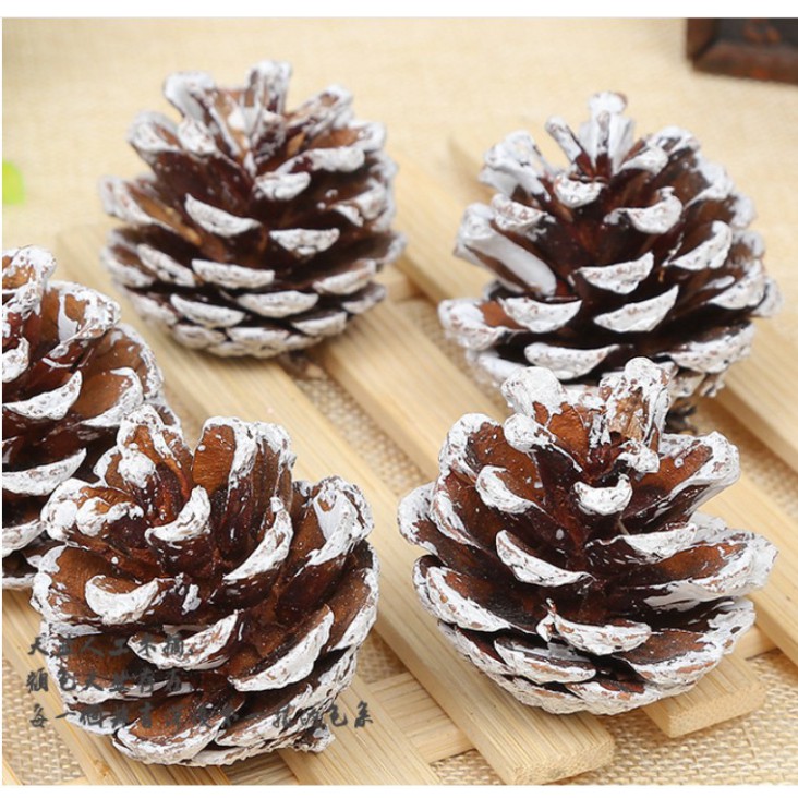 Set Hoa Qủa Khô, Trái thông khô tự nhiên, Lá khô trang trí chụp ảnh, làm handmade