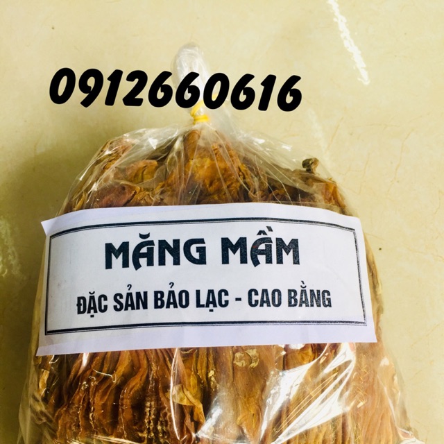 Măng mầm - Bảo Lạc Cao Bằng