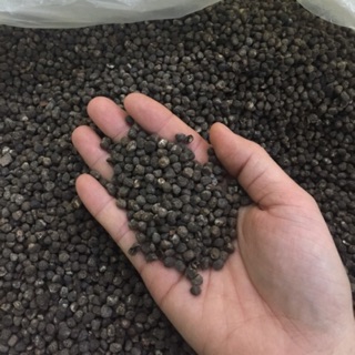 Hạt chuối hột rừng Yên Bái- gói 500g