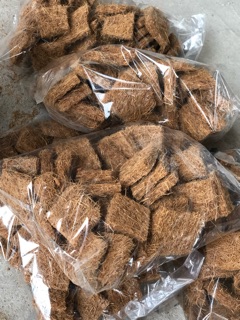 Xơ dừa miếng - Rải mặt chậu