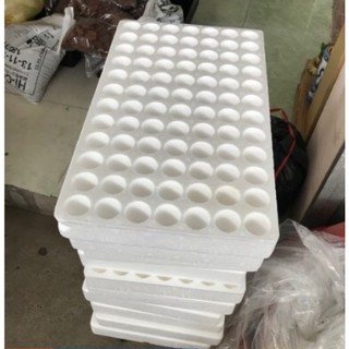 Khay xốp ươm hạt- khay 112 lỗ