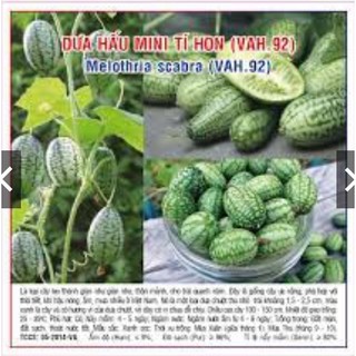 HẠT GIỐNG DƯA HẤU TÍ HON GÓI 20 HẠT