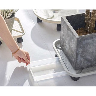 Đế lót chậu có khay hứng nước.