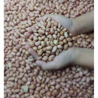 1kg đậu phộng trắng