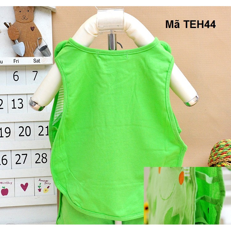 Bộ đồ Con ếch, con ong, quả dưa hấu TEH44,TEH43,TEH42