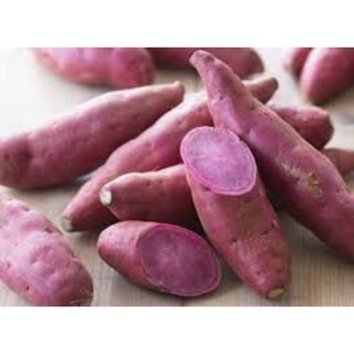 Bột khoai lang tím hộp 500g