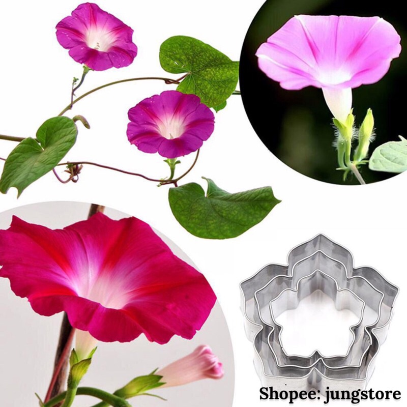 Khuôn cắt tạo hình cánh hoa hồng, hoa sen, hoa mẫu đơn, hoa cẩm chướng, hoa tuylip, hoa bìm bìm trang trí bánh