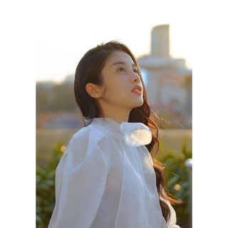 Sơ mi cổ nơ mí gân ngực -HBSM735