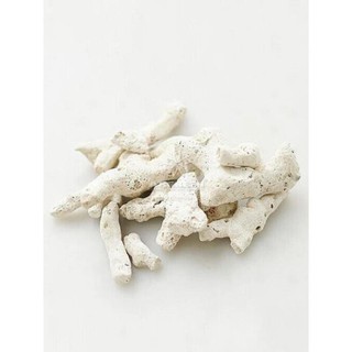 San hô lọc nước hồ cá - San hô vụn
