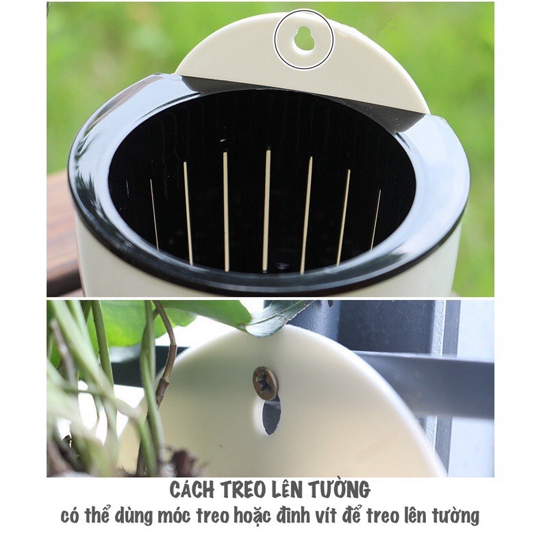 Chậu cây thông minh treo tường nhập khẩu Oliz K0. chậu cây tự tưới nước