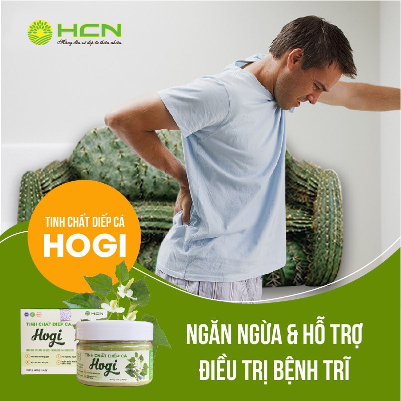 [CHẤT LƯỢNG SỐ 1] Tinh Chất Diếp Cá Hogi Hộp 150gr Giúp Da Trắng Hồng | BigBuy360 - bigbuy360.vn