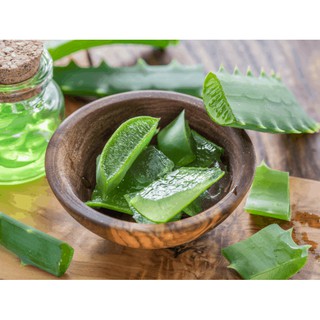 Bẹ nha đam tươi - lá nha đam đủ loại