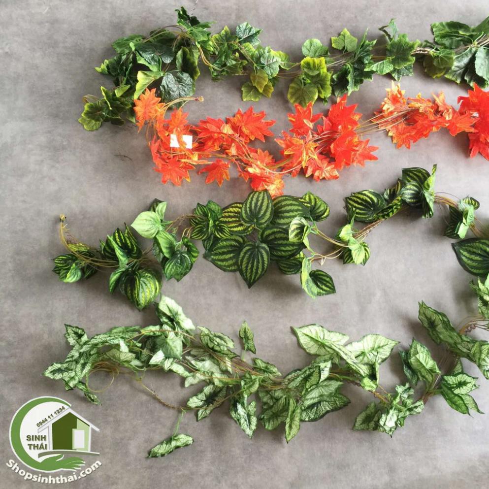 Dây leo xanh dài 2,4m, dây lá nho, lá phong đỏ, lá trầu bà, lá môn trắng bằng vải lụa cao cấp