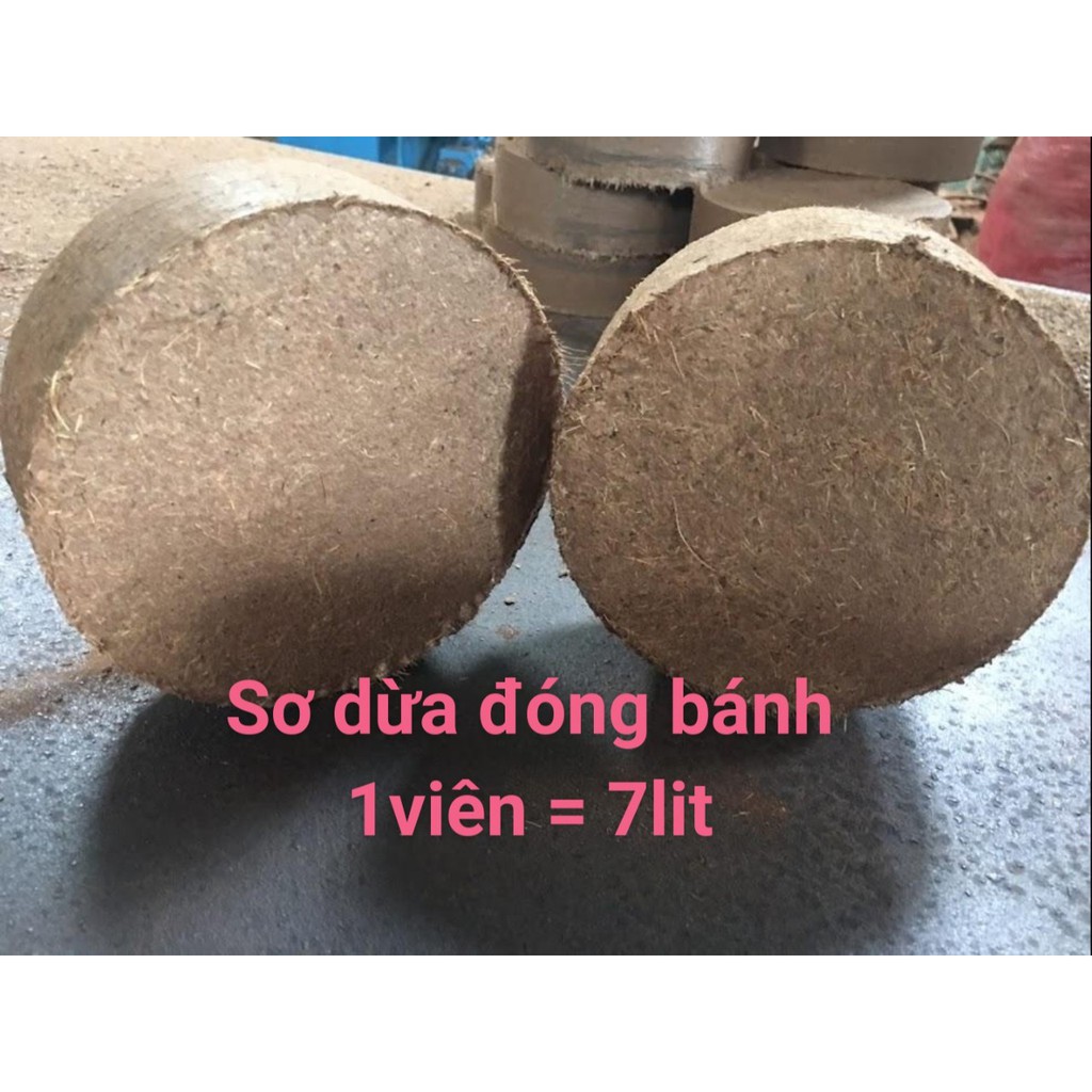 Block 4 bánh xơ dừa sạch trồng rau - 1 bánh ngâm thành 7 lít dung tích xơ dừa