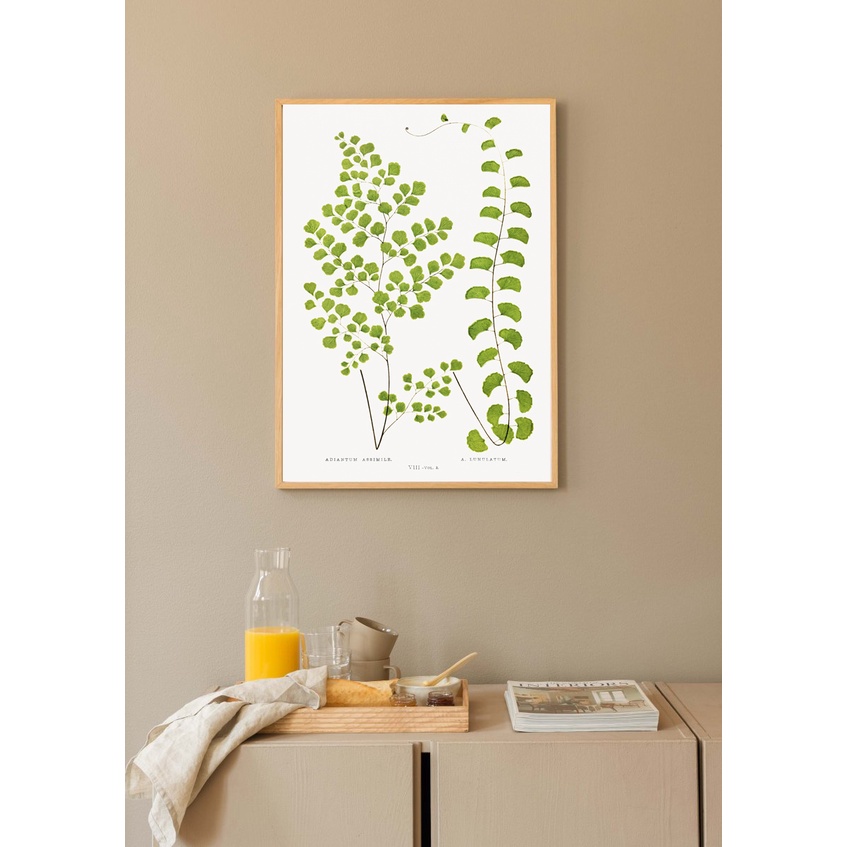 Set 5 tranh canvas treo tường trang trí phòng khách NEWFA2