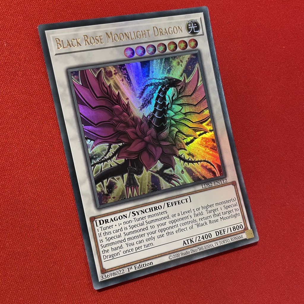 Black Rose Moonlight Dragon