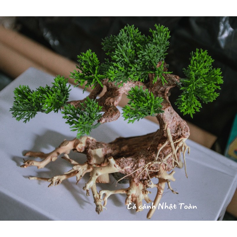 CÂY LỦA BONSAI TRANG TRÍ HỒ CÁ NON BỘ 16x8x16cm