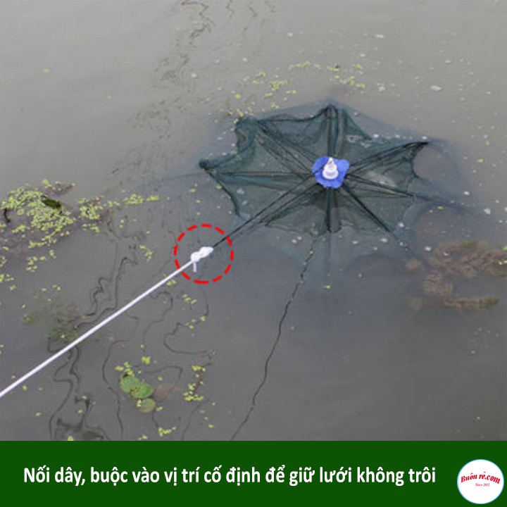 Lưới Bắt Tôm Cá 8 Lỗ Thông Minh - br00537