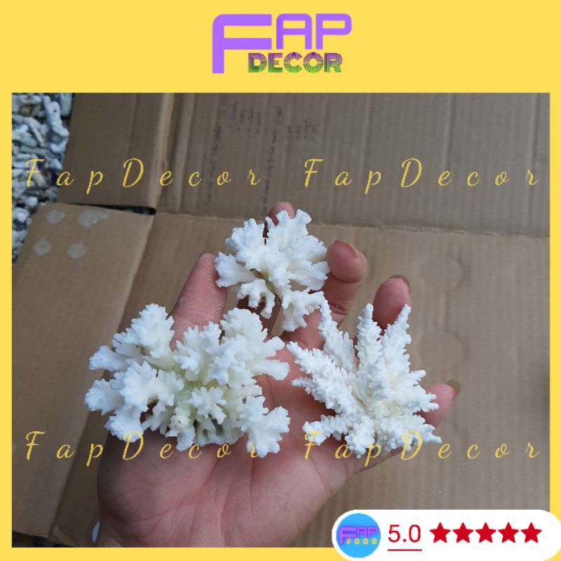 San Hô Bông Rạn Mini Trang Trí Bàn Làm Việc Decor Bể Cá Thủy Sinh Rẻ Đẹp Chất Lượng - FapFood
