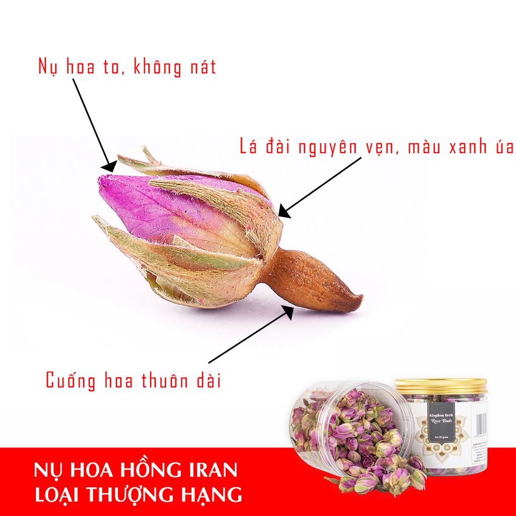 Trà hoa hồng sấy khô Kingdom Iran thượng hạng, nụ hoa hồng khô - hộp 50 gram