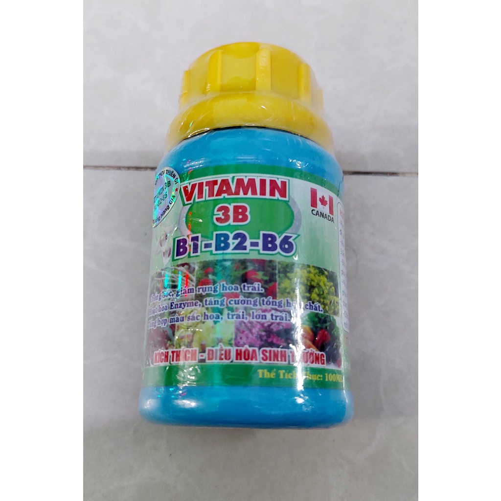 Vitamin 3B (B1-B2-B6) Canada 100ml