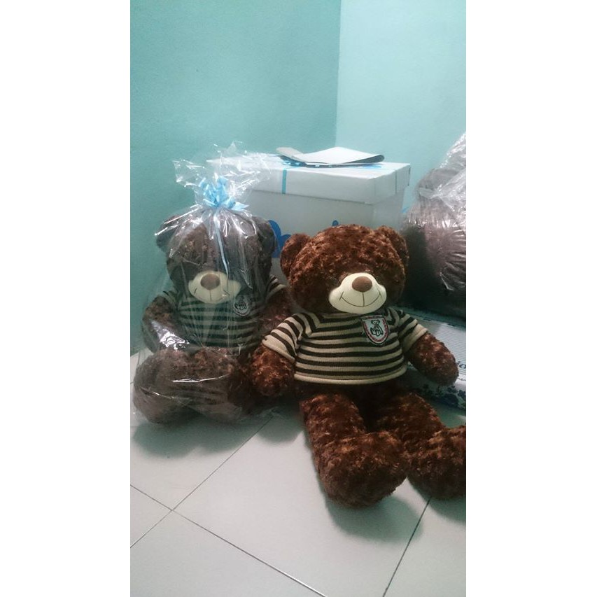 GẤU TEDDY SIÊU BỰ 1M1 SOCOLA