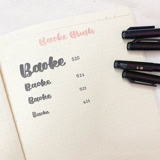 Bút viết thư pháp, Calligraphy- Baoke Brush Pen