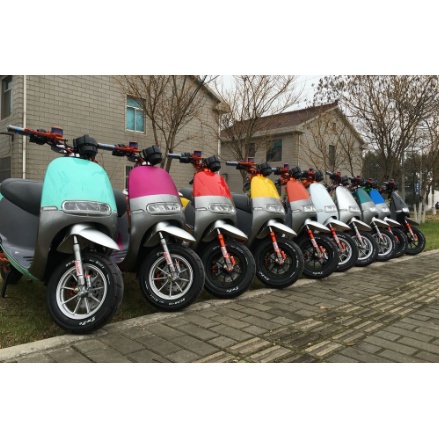 Tay xách xe điện Gogo Dibao chính hãng