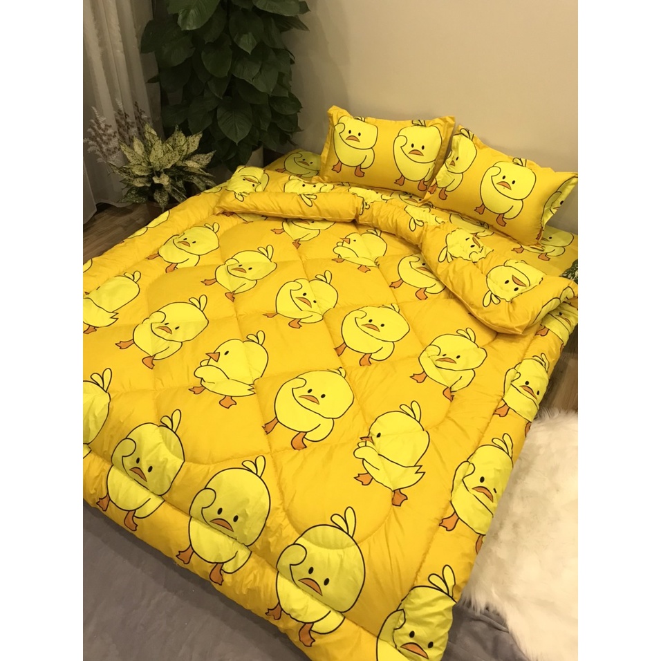 Chăn phao poly 💖m8x2m💖 mền siêu nhẹ
