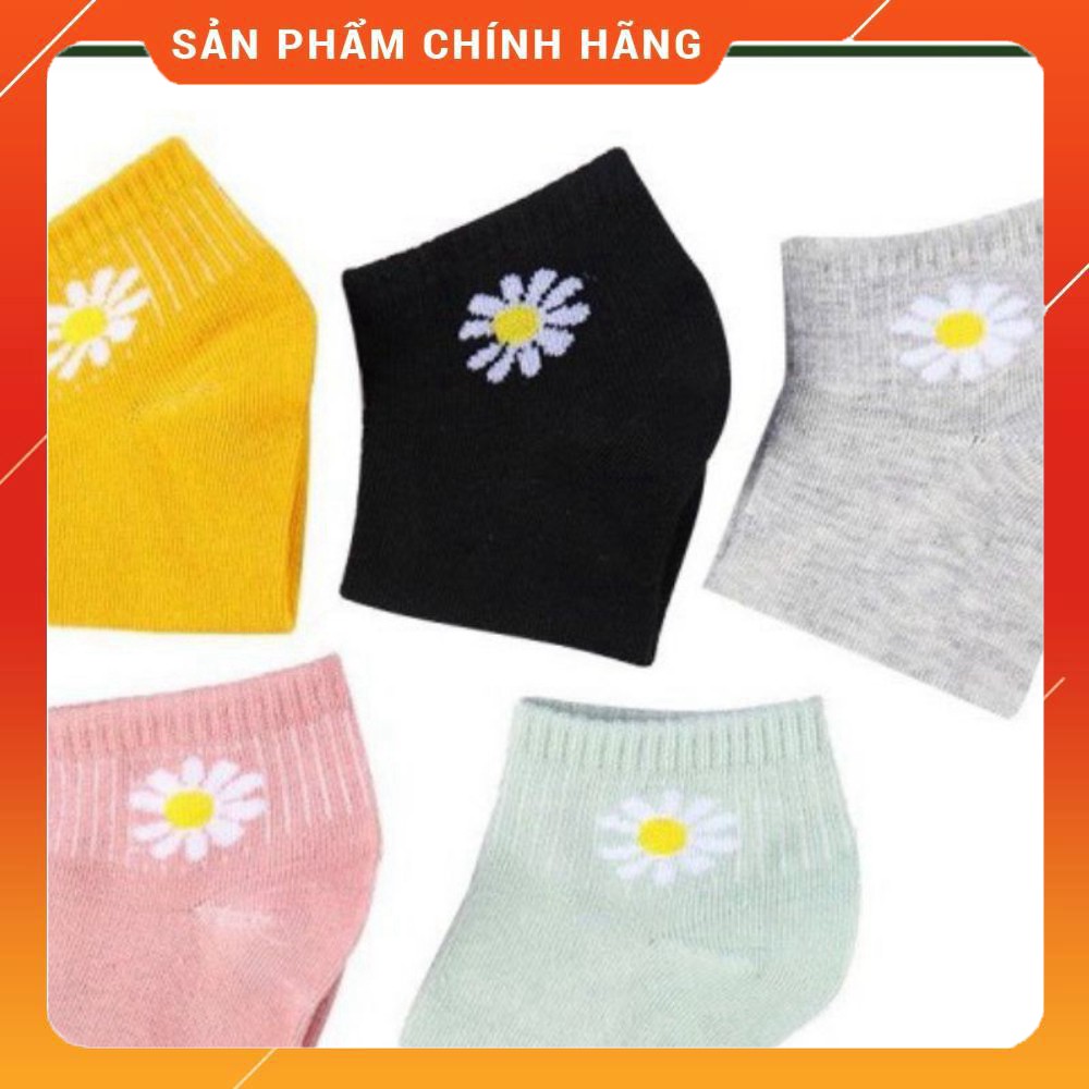 BÁN BUÔN [FREE SHIP] Tất vân khử mùi siêu rẻ đẹp. Tuyển sỉ