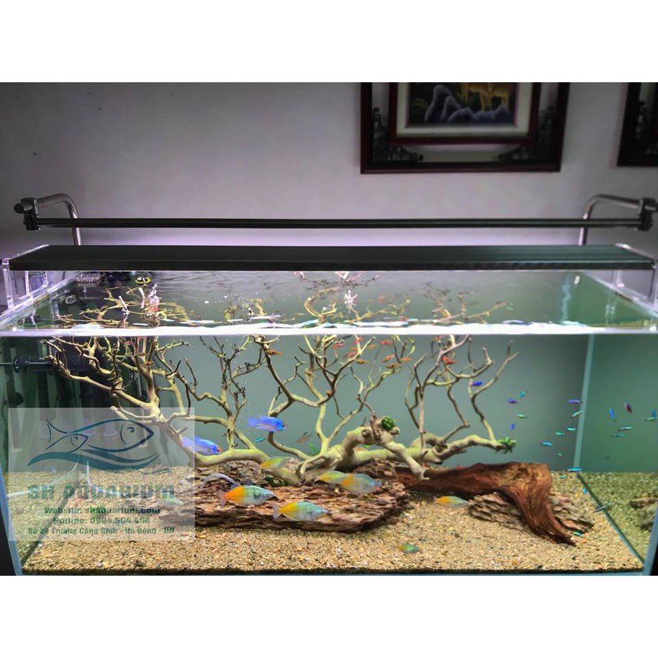 Đèn Week WRGB Phoenix P900 ( 90cm )