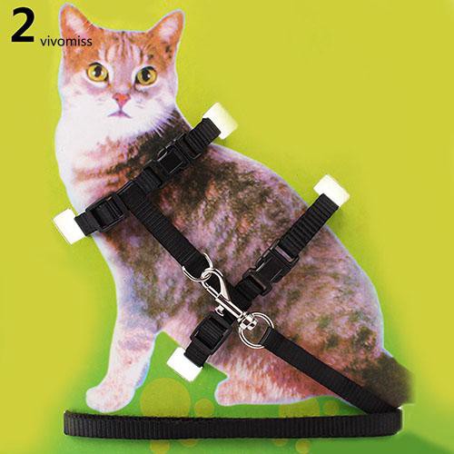 Dây dắt mèo cưng đi dạo có thể điều chỉnh độ dài
