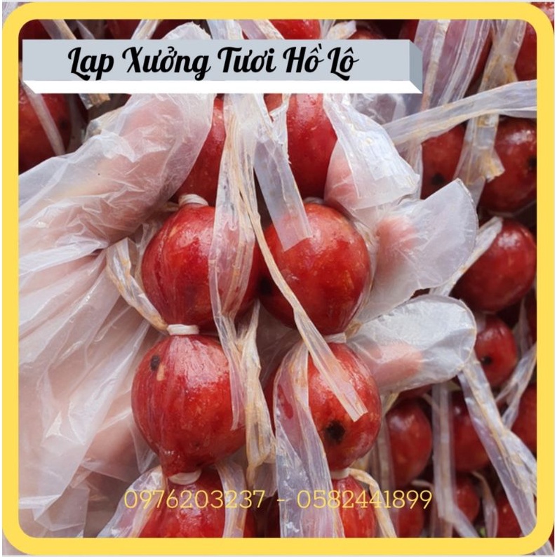 1KG - LẠP XƯỞNG BI