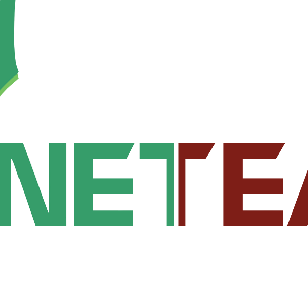 Vinetteam Flagship Store