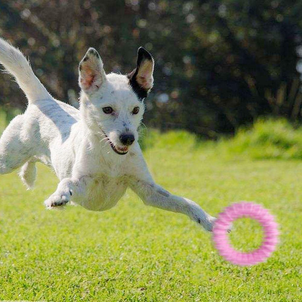 YNATURAL Đồ Chơi Vòng Gai Cho Chó Gặm