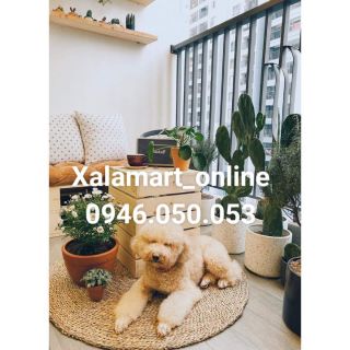 Thảm cói tròn siêu đẹp Size 1m, 1m2, 1m5