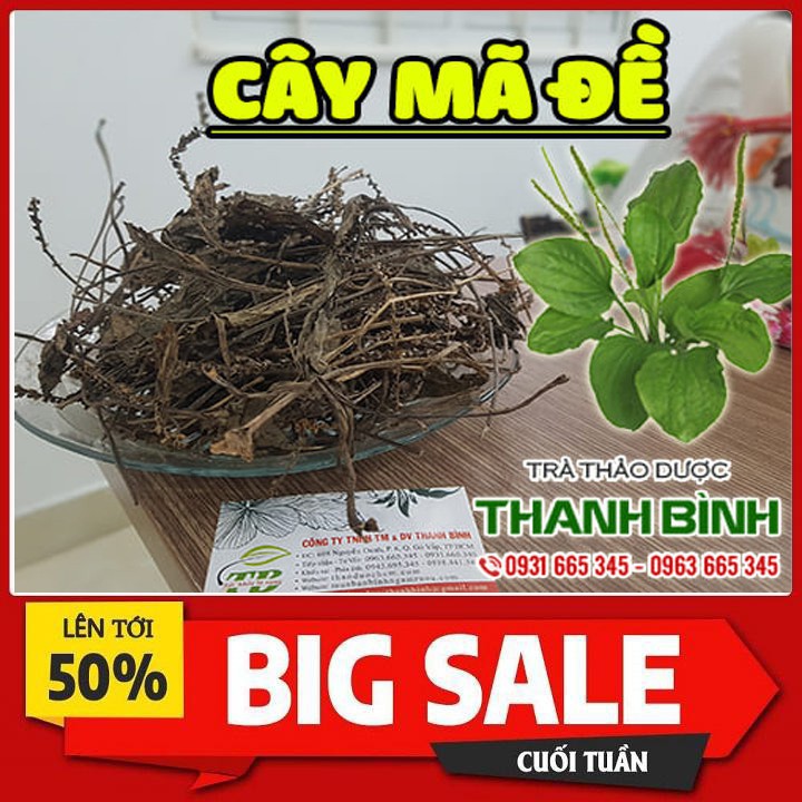 Cây Mã Đề Khô 500g - Hàng Công Ty - Đảm Bảo Sạch Sẽ