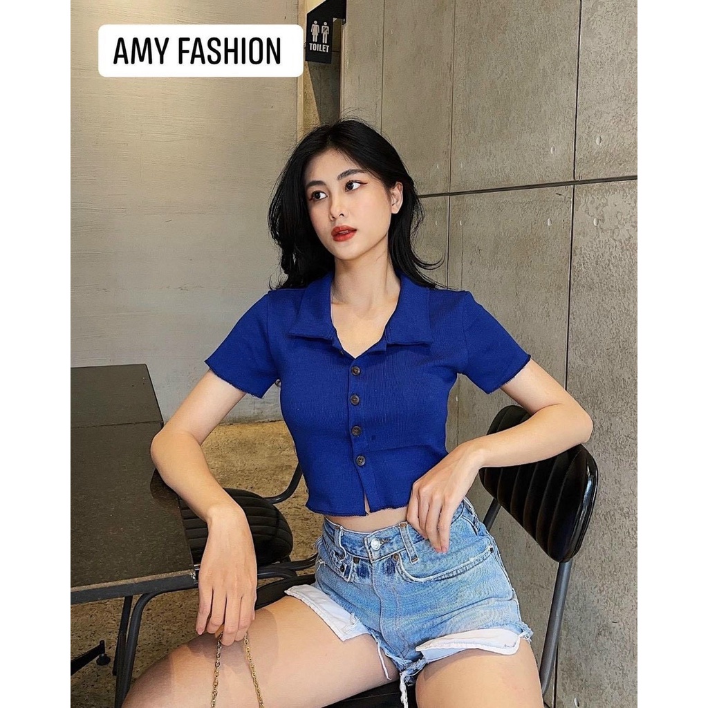 Áo thun gân cổ polo đính 5 nút tay ngắn ôm body form lửng MC