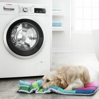 Máy Giặt Bosch 9 kg WGG244A0SG-ĐIỆNMÁYTỒNKHO.COM