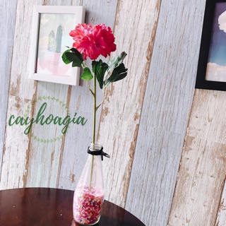 Hoa giả - mẫu đơn bông lẻ