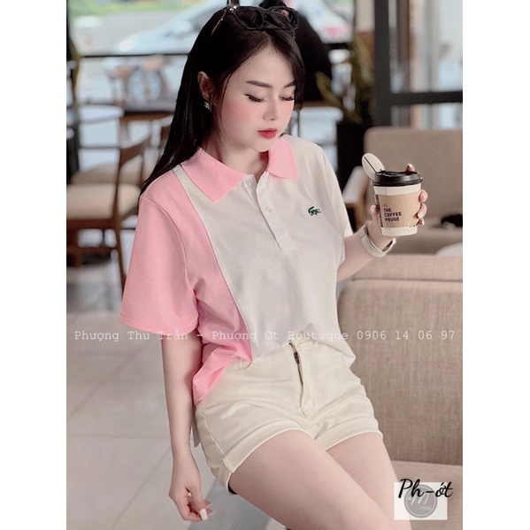 Áo phông polo nữ, áo phông nữ có cổ